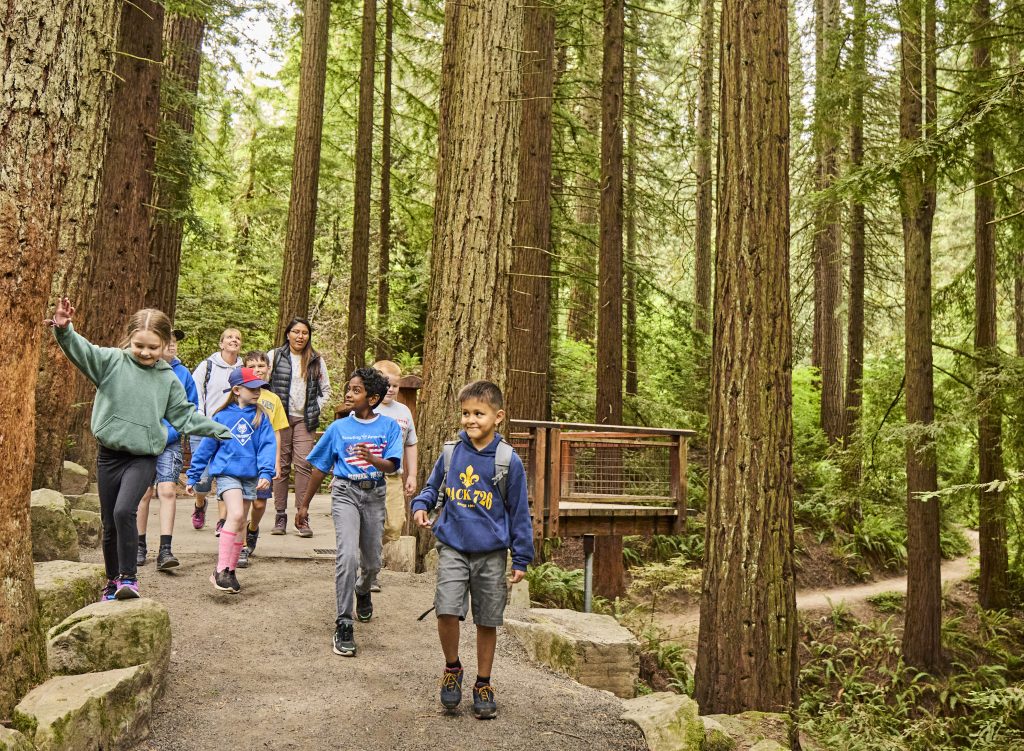 Cub Scouts hiking on a trail
