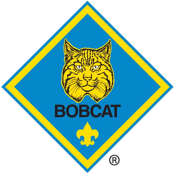 Bobcat image