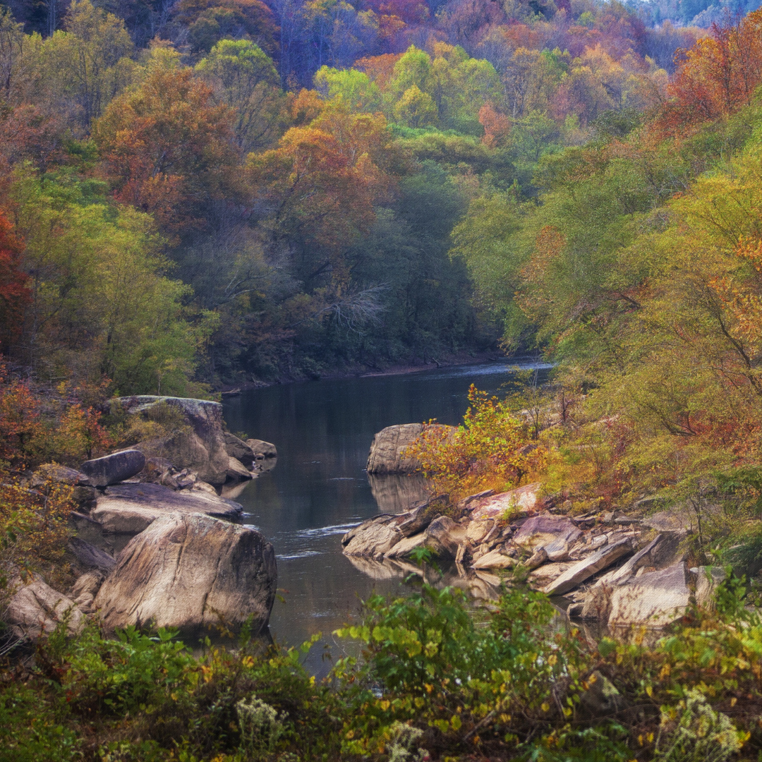 Parent guide resources