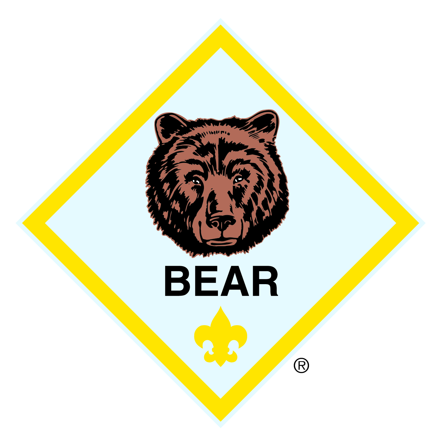Bear image