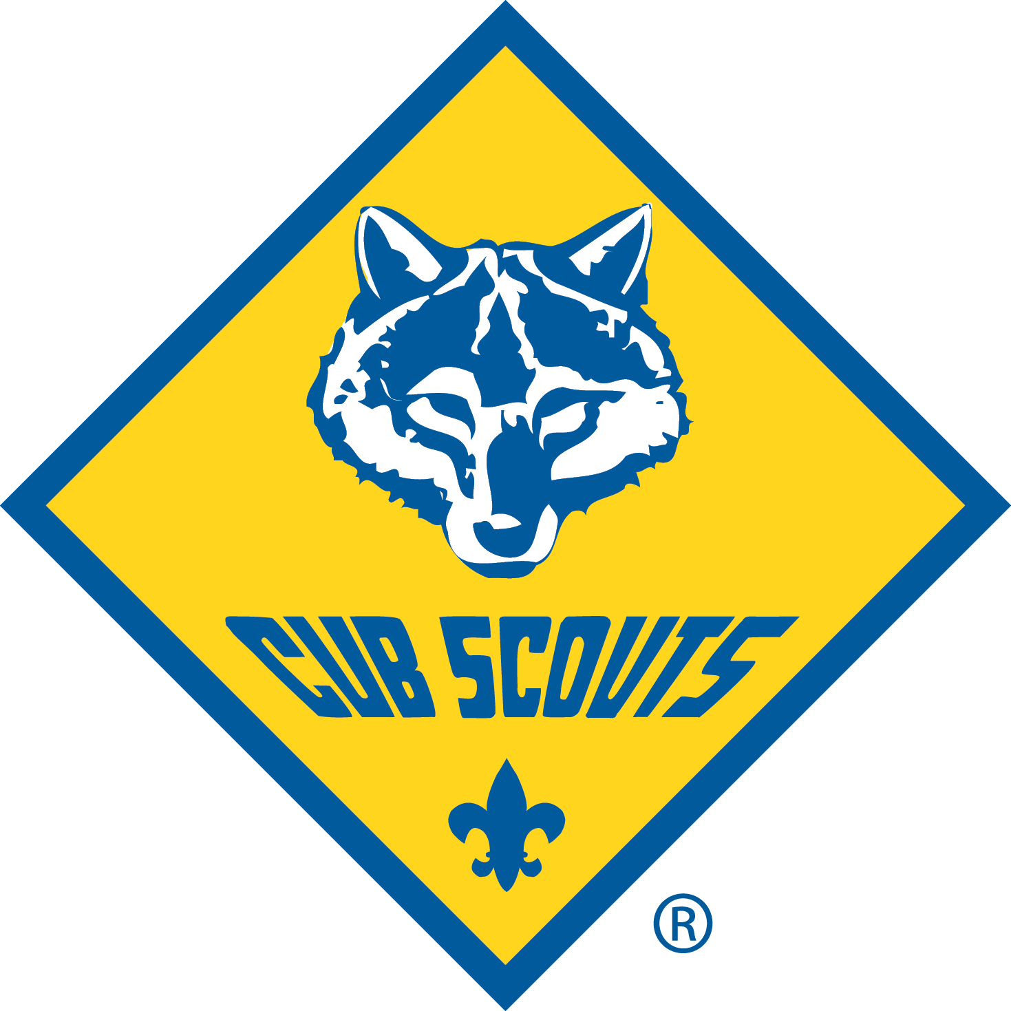 Cub Scout Day Camp icon