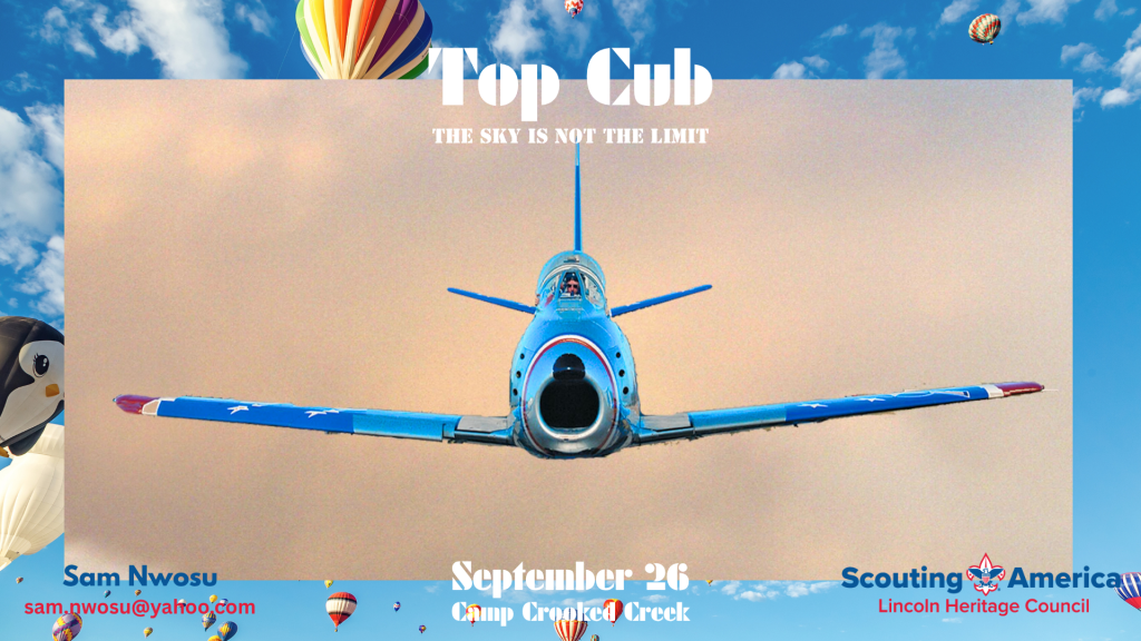 Top Cub (9)