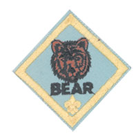 Bear image