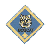 Bobcat image