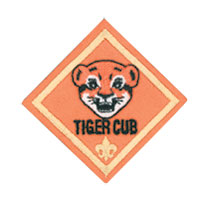 Tiger Cub image